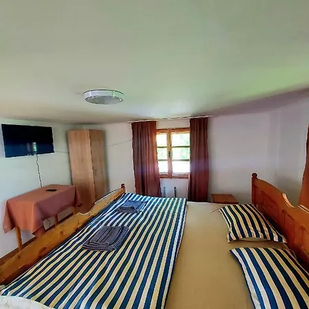 Pensiunea Boca